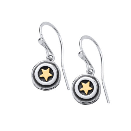 Gold Star Earrings - DKST